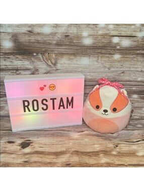 Rostam the Valentine’s Day Badger Squishmallow NWT 8”